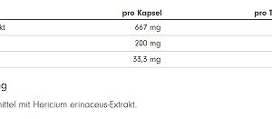 ProFuel Lion's Mane Vitalpilz 180 Kapseln – Bild 3