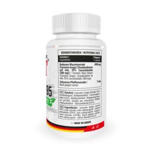 MST - Curcumin 95 Extract 60 Kapseln – Bild 2