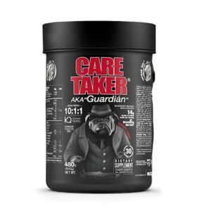 Zoomad Caretaker BCAA (480 gr)