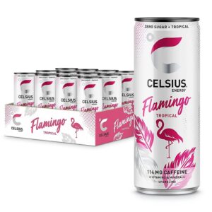 Celsius Energy (12x355ml) – Bild 1