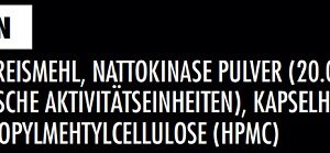Big Zone Nattokinase 270 Kapseln – Bild 3