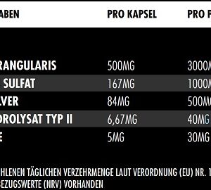 Big Zone Joint Protect 180 Kapseln INAKTIV – Bild 3