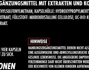 Big Zone Joint Protect 2.0 120 Kapseln – Bild 3