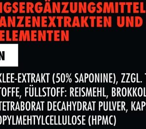Big Zone Bor+ 90 Kapseln – Bild 3