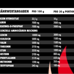 Big Zone In:fuse Intra Workout 600g - Blaubeere – Bild 2