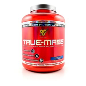 BSN True Mass 2610g, Schokolade – Bild 1