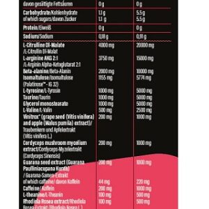 GoFitness Go Hard Booster 400g – Bild 2