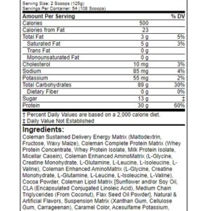 Ronie Coleman RCSS King Mass 6,8 KG – Bild 2