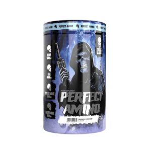 Skull Labs Perfect Amino 450g – Bild 1